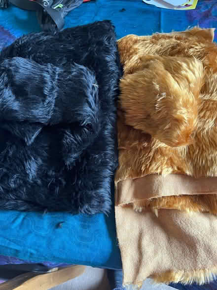 Photo of free Furry fabric for crafting (Kendal LA9) #1
