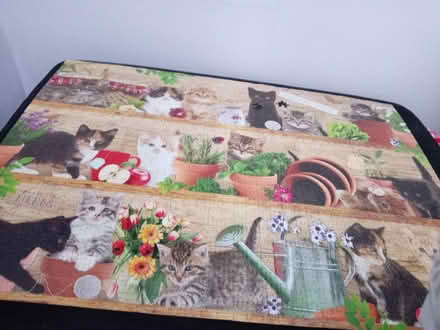 Photo of free Cat puzzle 1000 pieces (Maidenhead SL6) #1
