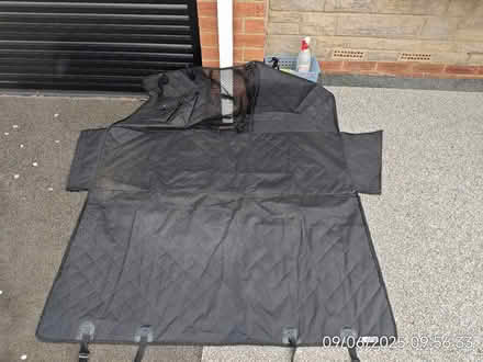 Photo of free Dog car hammock (NE33 South Shields) #1