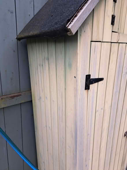 Photo of free Tall garden shed (L8 toxteth) #2