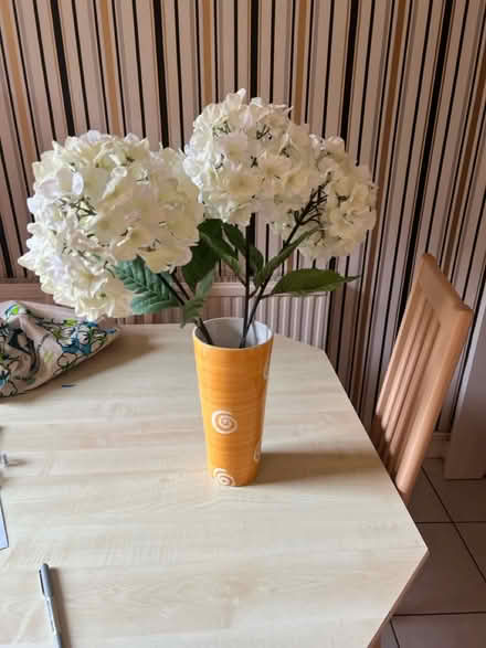 Photo of free Vase and flowers (Bellshill) #1