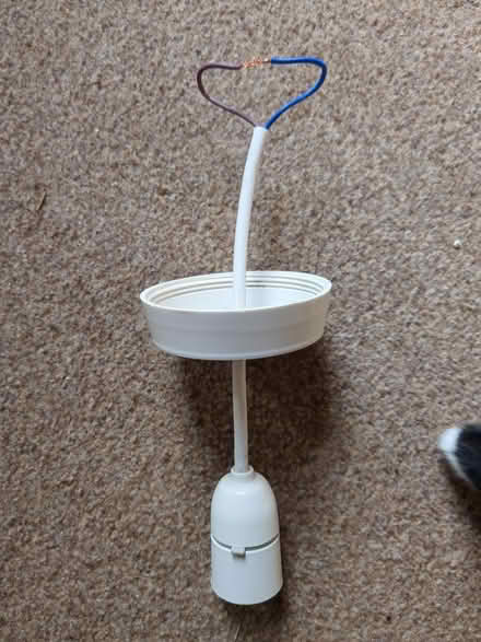 Photo of free Ceiling pendant light fitting (Hillsborough S6) #1