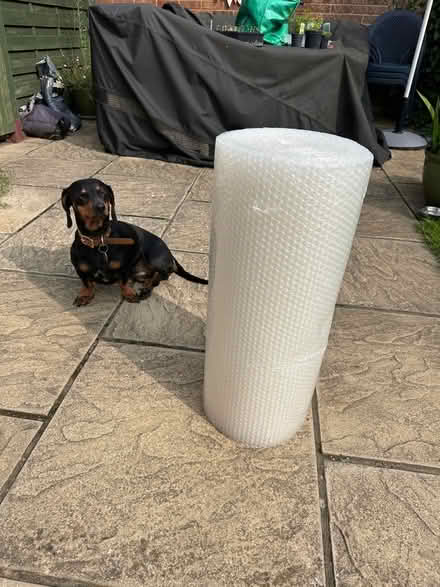 Photo of free Giant 25m roll of bubble wrap (Woodley RG5) #1