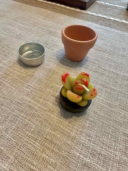 Photo of free Mini succulent candle (Malden) #2