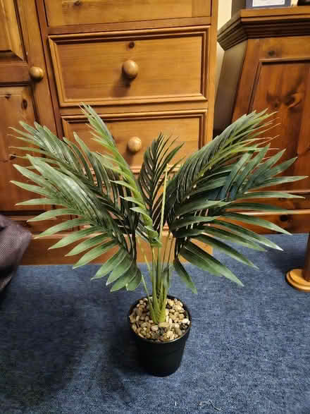 Photo of free Artificial plant (Kingsmead) #1