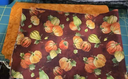 Photo of free leftover yardage (off Fisher Blvd) #3
