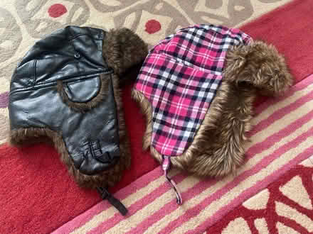 Photo of free Adult hats (Badger Farm) #1