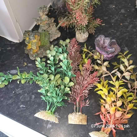 Photo of free Fake aquarium plants (Wigan WN1) #1