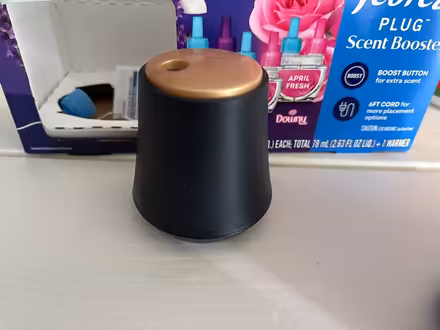 Photo of free 3 Diffusers (Southwest DC-Navy Yard) #3