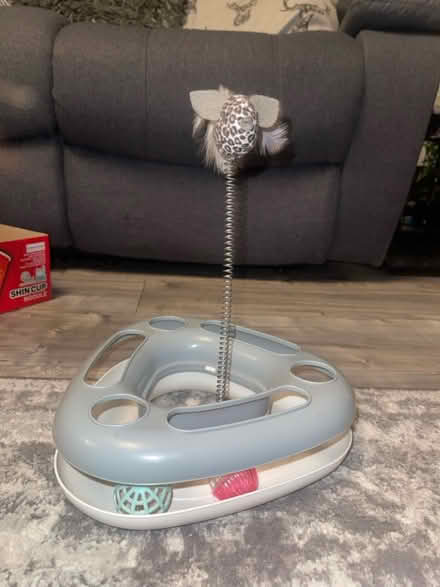 Photo of free Cat/kitten toys (Felling NE10) #4