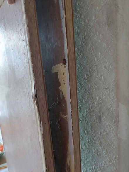 Photo of free 2 large pieces of wood (Hillsborough S6) #2