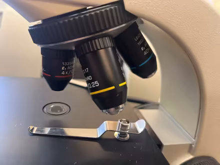 Photo of free 25 compound microscopes (Prospect Heights) #3