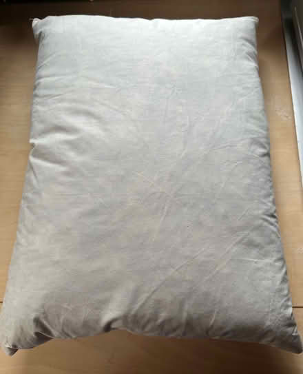 Photo of free Duck feather cushion squab 35 x 45 cm (Knaresborough HG5) #1