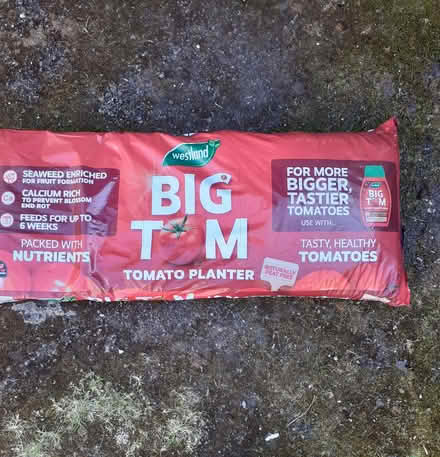 Photo of free Big Tom Grow Bag for 3 tomato plants (Wandsworth Common SW12) #1