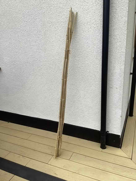 Photo of free Bamboo Canes, Loads! Approx 6 Foot (CT3) #1