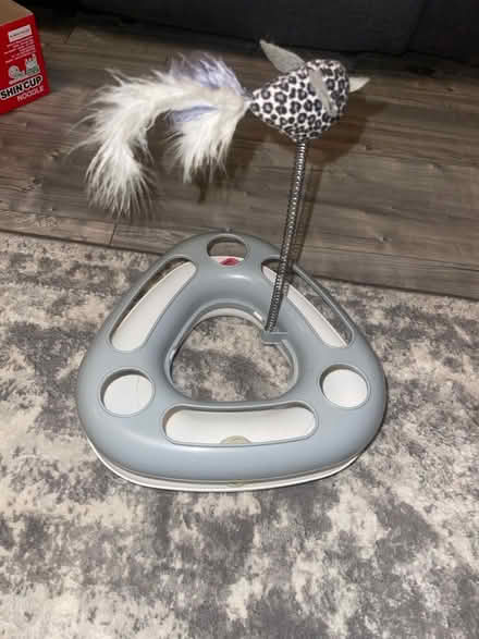 Photo of free Cat/kitten toys (Felling NE10) #3
