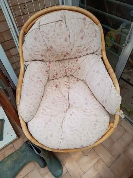 Photo of free Conservatory cane furniture (Biddenden TN27) #3