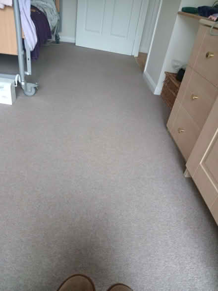 Photo of free Carpet (Dairy Lane Estate DH4) #1