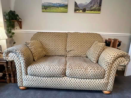 Photo of free Medium sized sofa. Feather filled seat and back cushions. (Hasland S41) #1