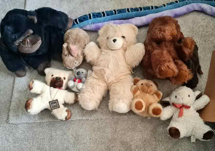 Photo of free Various soft toys (Purbrook) #2