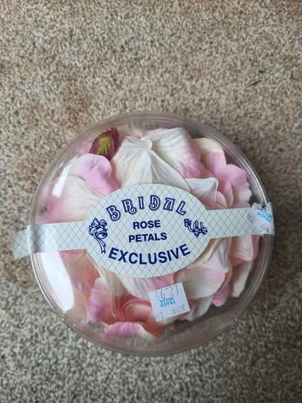 Photo of free Arts and crafts rose petals (Brixham) #1