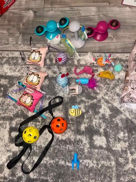Photo of free Cat/kitten toys (Felling NE10) #2