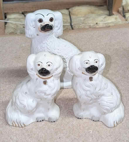 Photo of free Wally dugs x 3 (AB22) #3