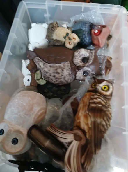 Photo of free Owl collection (knick knacks) (Kettering NN15) #2