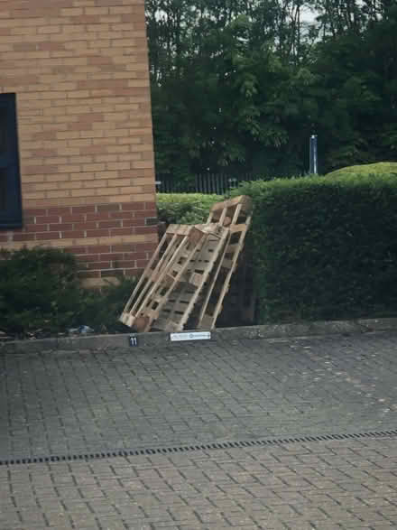 Photo of free Wooden pallets (Priory Business Park MK44) #1