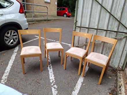 Photo of free Four habitat dining chairs (The Hockering GU22) #2