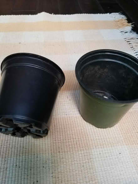 Photo of small pots (Britannia Rd and Creditview Rd) #1