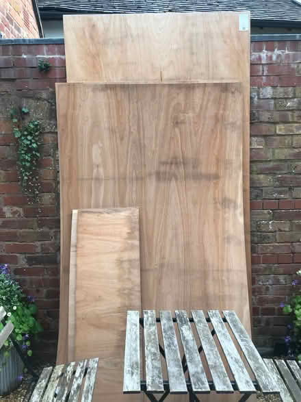 Photo of free Plywood (Ludlow SY8) #1