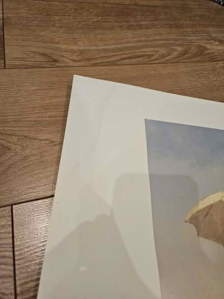 Photo of free 2 x prints (Handsworth) #2