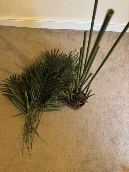 Photo of free Artificial plants (Totley, S17) #2
