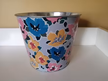 Photo of free Plant Pot (Old Ottawa East) #1