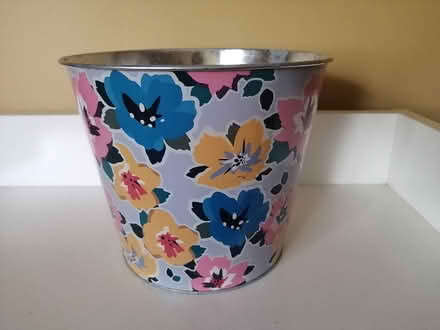 Photo of free Plant Pot (Old Ottawa East) #1