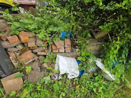 Photo of free Hard-core (Eastbourne BN22) #2