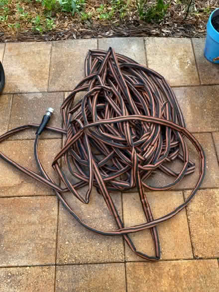 Photo of free Garden hose reel and hose (Homosassa Springs , Fl) #2
