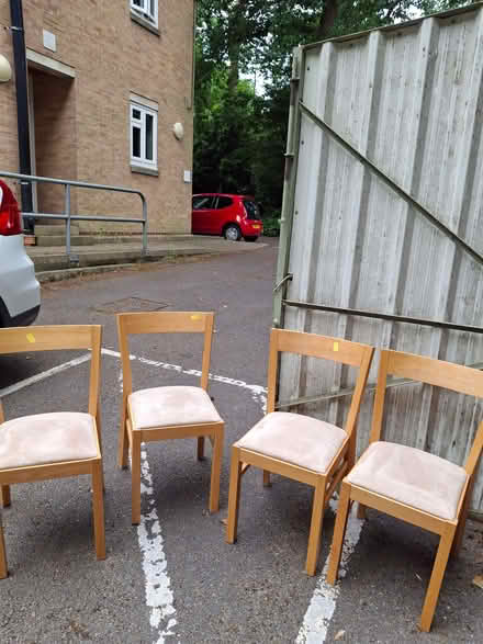 Photo of free Four habitat dining chairs (The Hockering GU22) #1