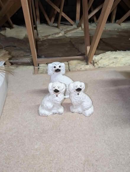 Photo of free Wally dugs x 3 (AB22) #1