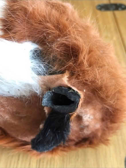Photo of free Fluffy Wolf & Fox Ornaments (Cheshunt En8) #4
