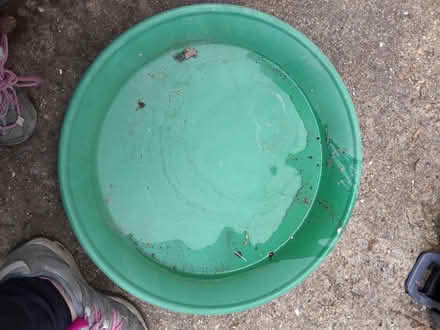 Photo of free Shallow tray (Earley RG6) #1