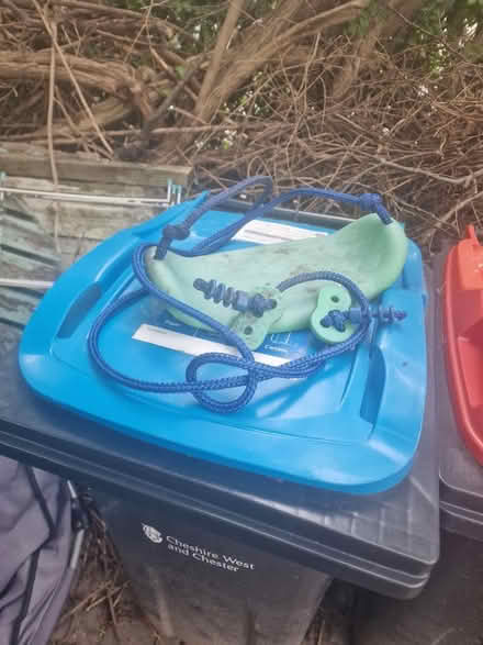 Photo of free Swing child size (Chester CH2) #1
