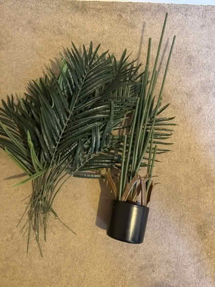 Photo of free Artificial plants (Totley, S17) #1