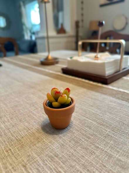 Photo of free Mini succulent candle (Malden) #1