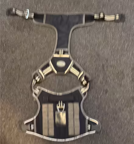 Photo of free dog med harness and jacket (Sunset park) #1