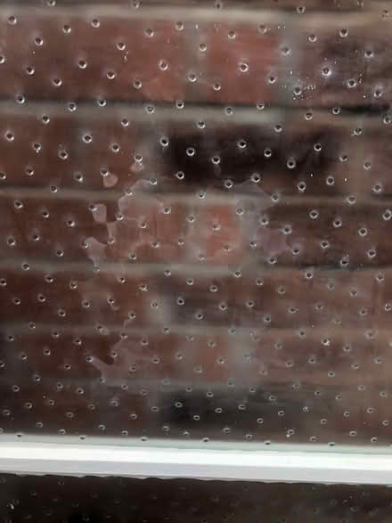 Photo of free wooden internal sliding doors (Bramhall/Stockport) #3