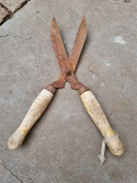 Photo of free Garden shears (Odd Down) #1