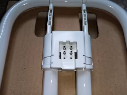 Photo of free Two bathroom light bulbs (Frome BA11) #1