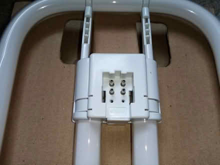 Photo of free Two bathroom light bulbs (Frome BA11) #1